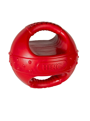 Dog Toy Ball With Handle For Sale (2023 Update) - Almost Home Rescue
