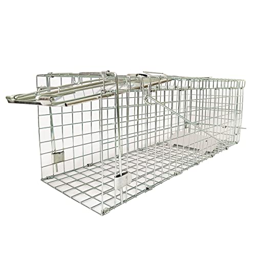 10 Best Humane Cat Traps (2024 Update) Almost Home Rescue