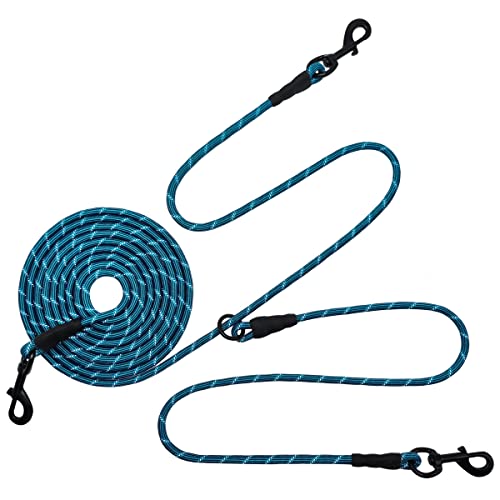 Best Dog Tie Outs For Camping (2024 Update) Almost Home Rescue